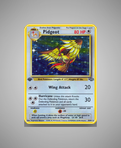 Collector’s Guide: Pidgeot (Jungle #8)