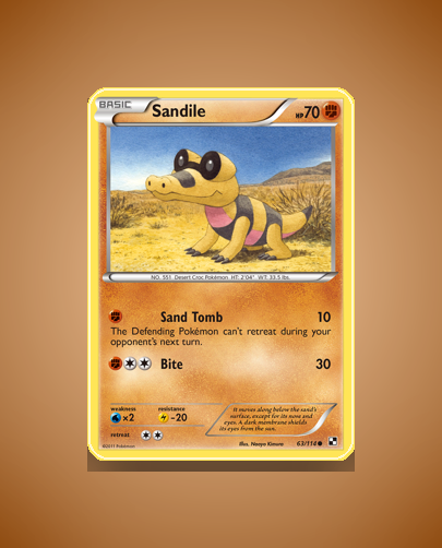 Sandile (Black White) #63