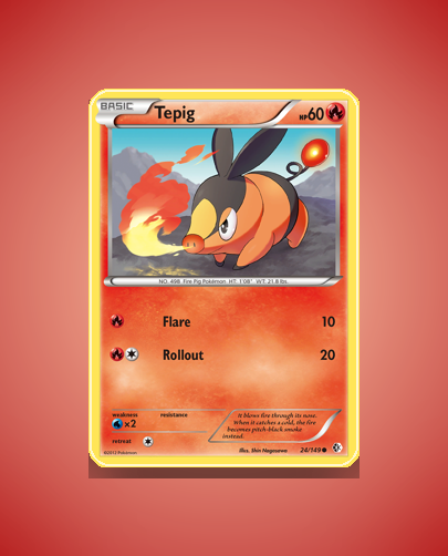 Tepig (Boundaries Crossed) #24