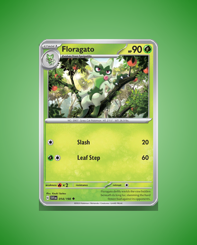 Collector’s Guide: Floragato (Scarlet Violet #14)