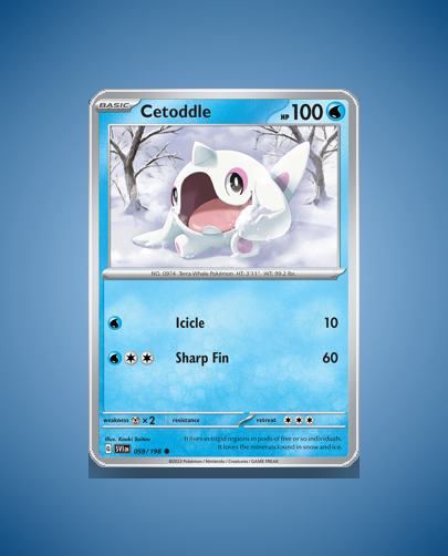 Collector’s Guide: Cetoddle (Scarlet Violet #59)