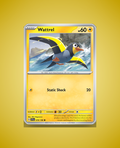 Collector’s Guide: Wattrel (Scarlet Violet #78)