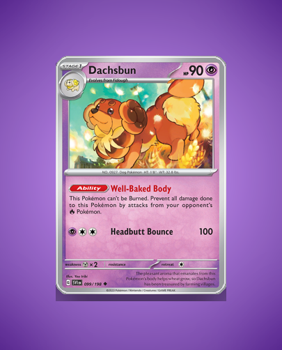 Collector’s Guide: Dachsbun (Scarlet Violet #99)