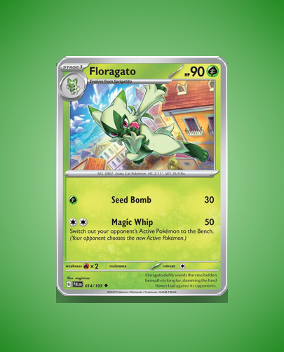 Collector’s Guide: Floragato (Paldea Evolved #14)