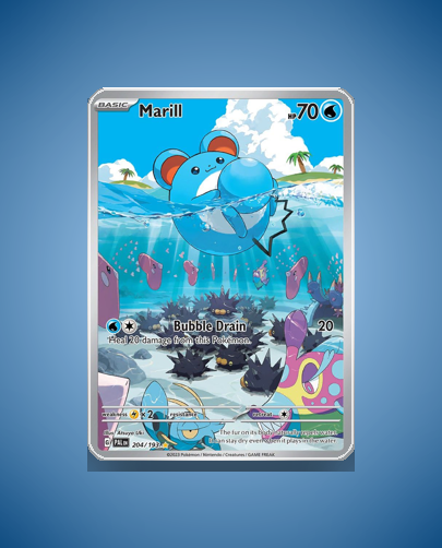 Collector’s Guide: Marill (Paldea Evolved #204)