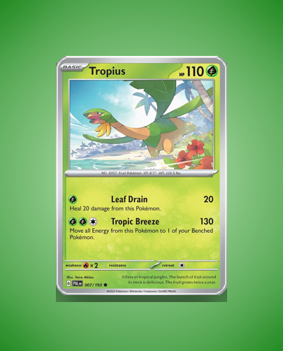 Collector’s Guide: Tropius (Paldea Evolved #7)