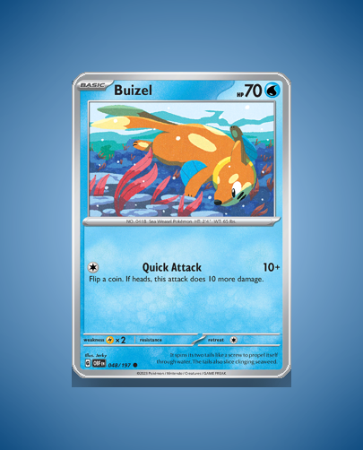 Collector’s Guide: Buizel (Obsidian Flames #48)