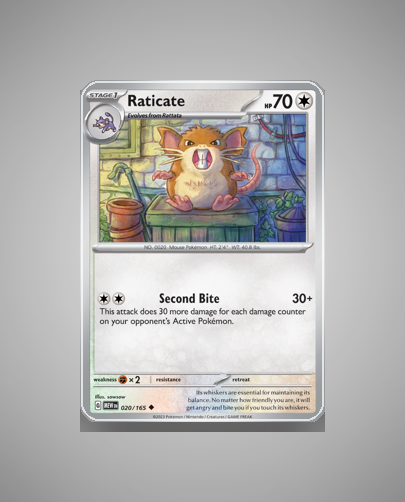 Collector’s Guide: Raticate (151 #20)