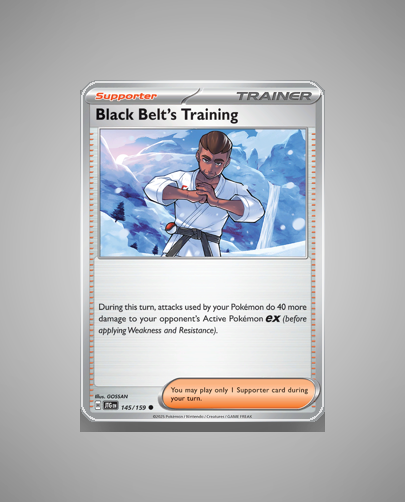Collector’s Guide: Black Belt’s Training (Journey Together #145)