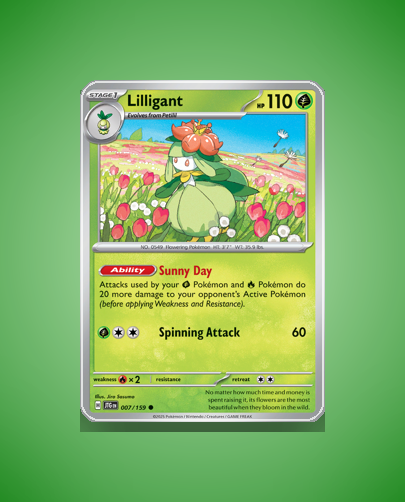 Collector’s Guide: Lilligant (Journey Together #7)