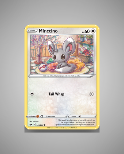 Minccino (Sword Shield) #146
