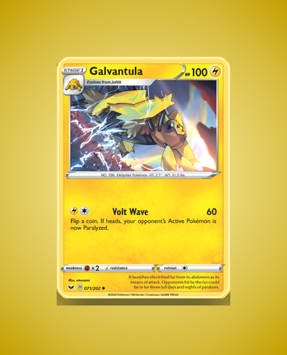 Collector’s Guide: Galvantula (Sword Shield #71)