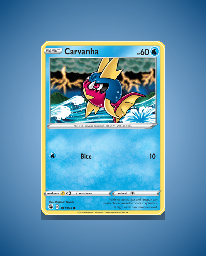 Collector’s Guide: Smeargle (Neo Discovery #11)