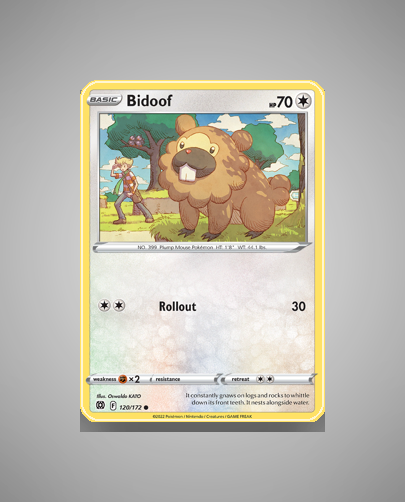 Collector’s Guide: Bidoof (Brilliant Stars #120)