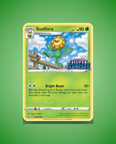 Collector’s Guide: Sunflora (SWSH Black Star Promos #SWSH269)