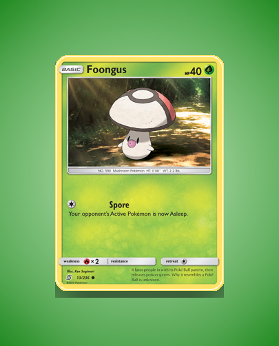 sm11-13