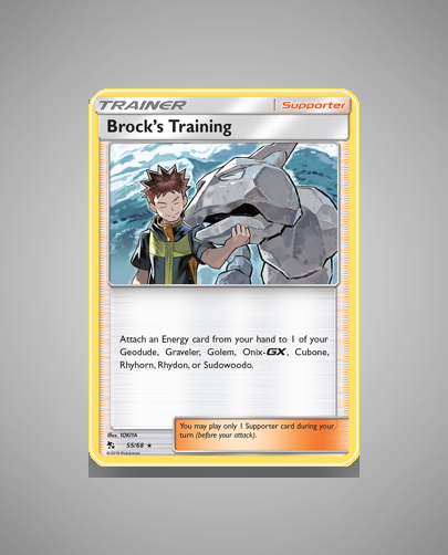 Collector’s Guide: Brock’s Training (Hidden Fates #55)