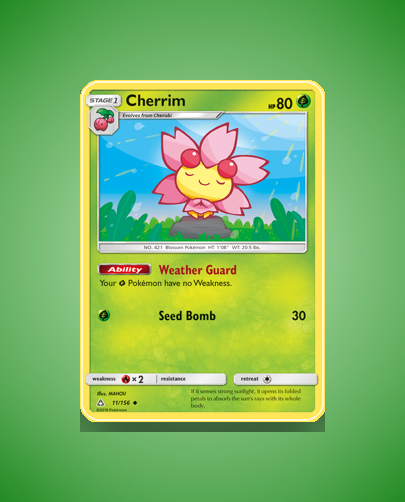 sm5-11