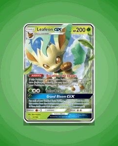 sm5-13