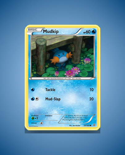 Collector’s Guide: Mudkip (Primal Clash #33)